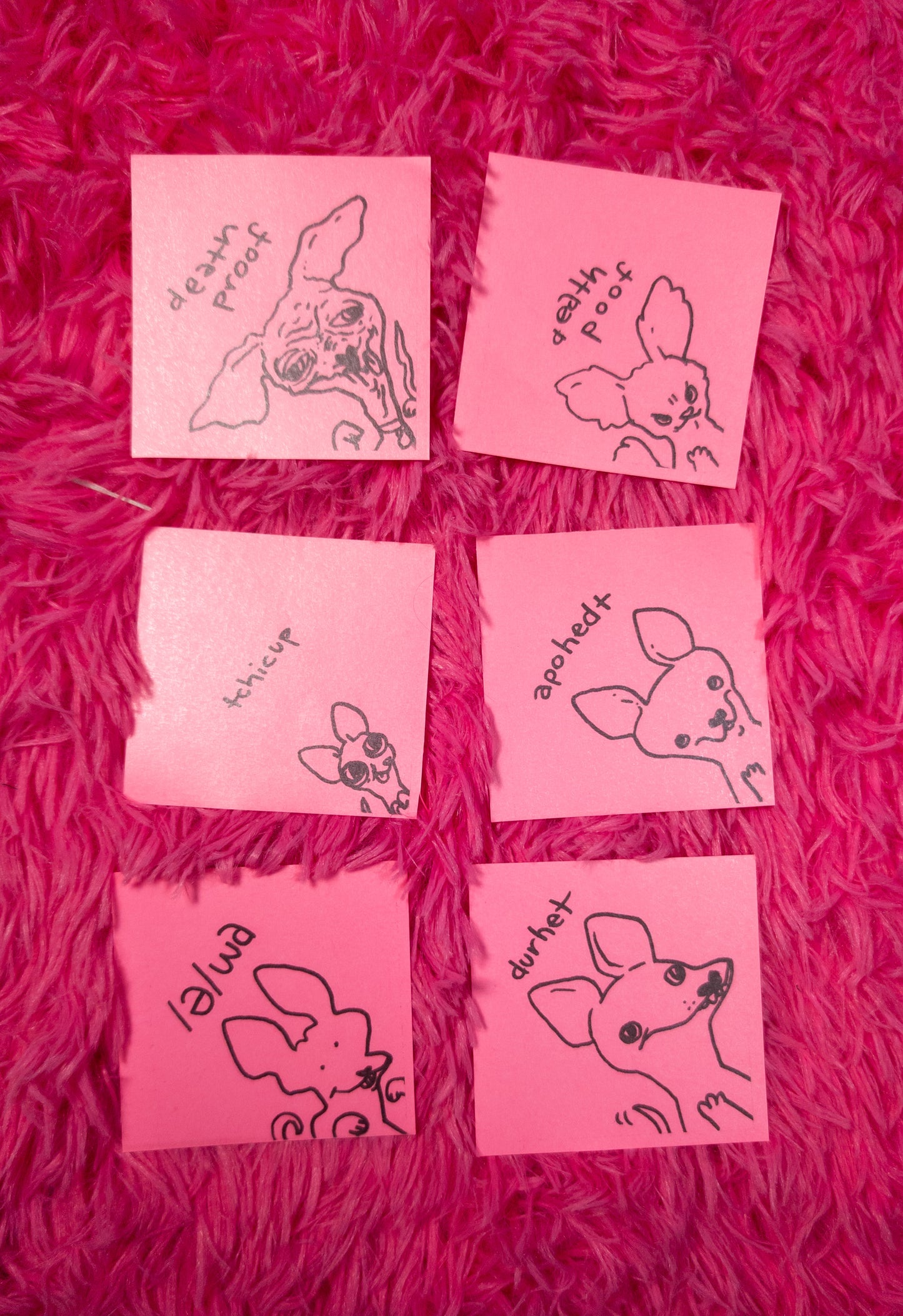 Shwawa sticker pack!