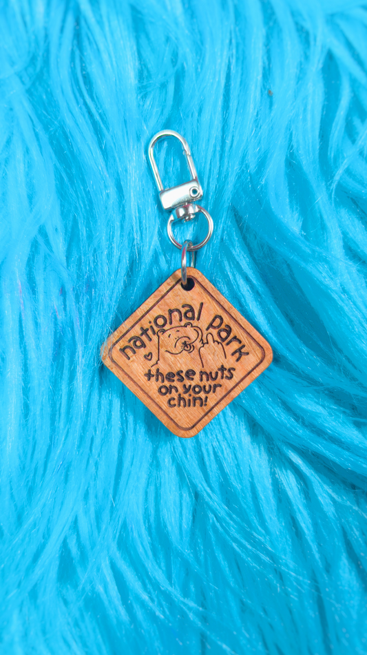 National park keychain/magnet!