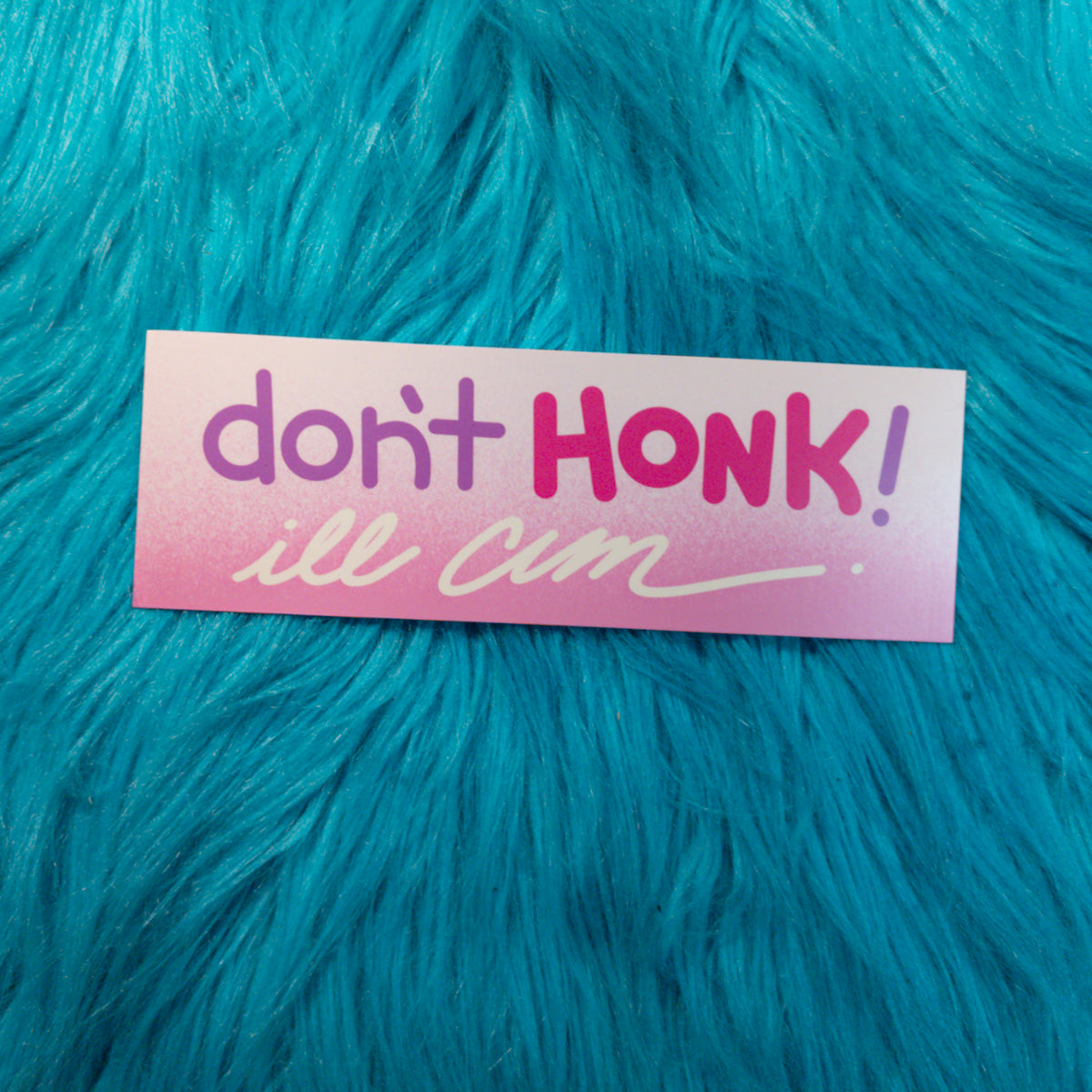 Don't Honk Bumper Sticker!