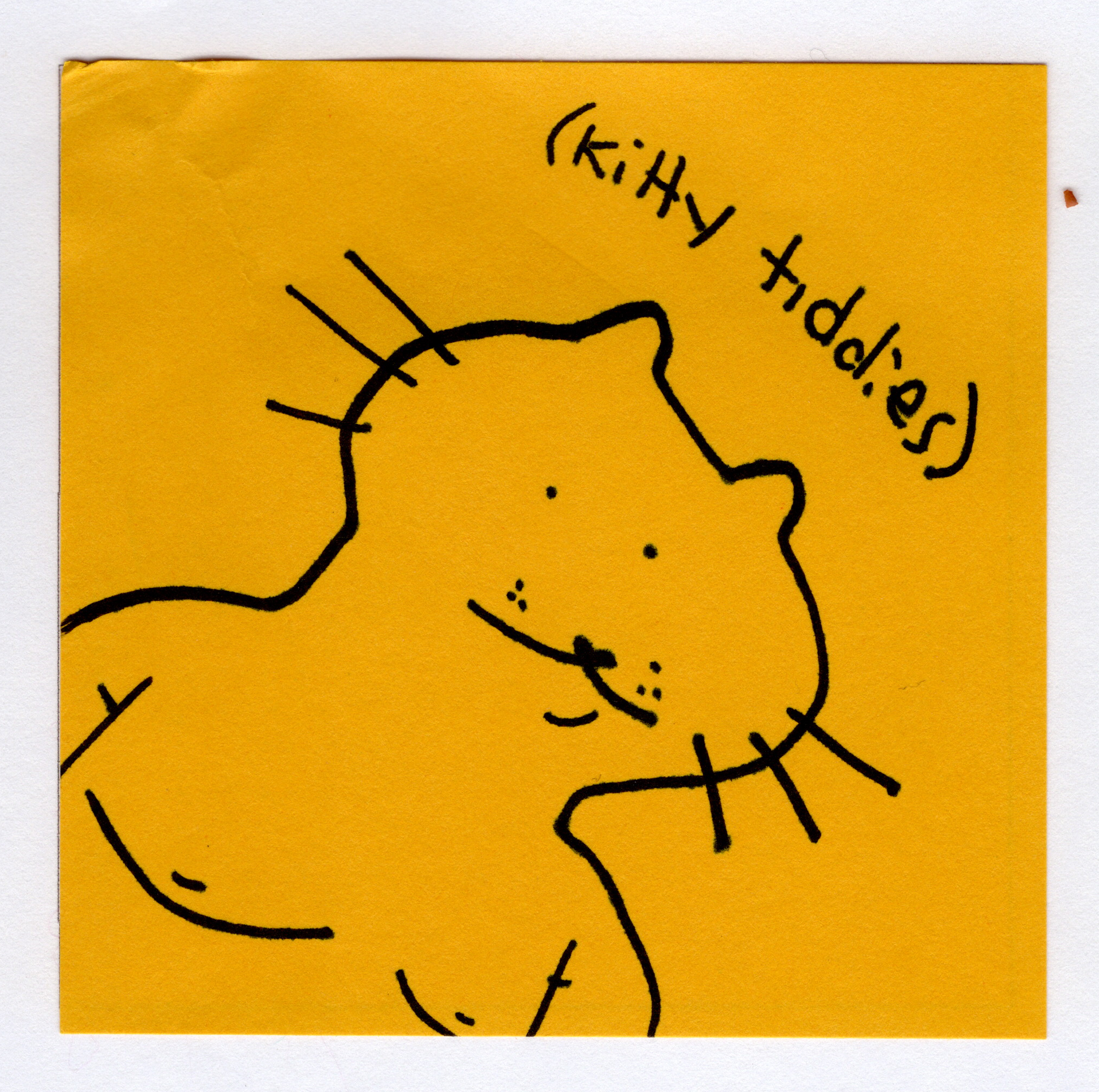 kity tiddies original! - Whatstheirface - ["cat","nonsense"] - 