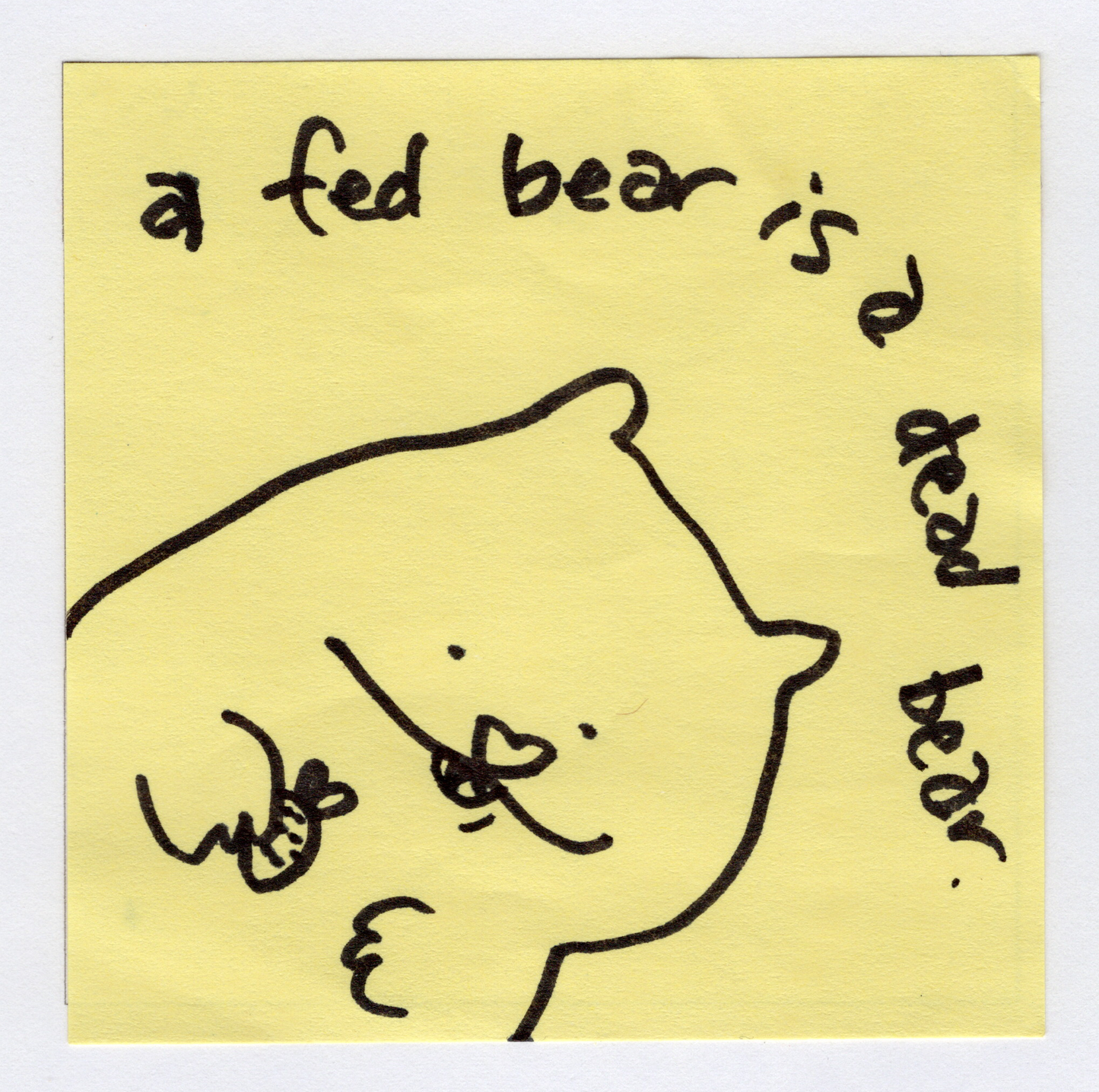 fed bear original! - Whatstheirface - ["bear","nonsense"] - 