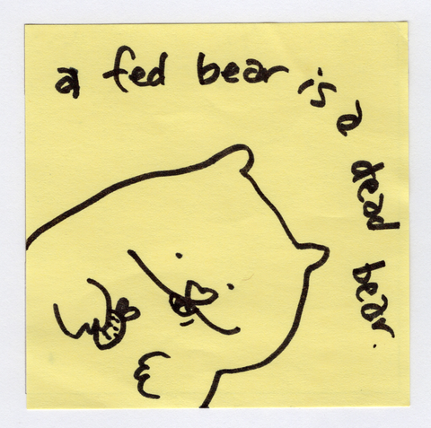 fed bear original!