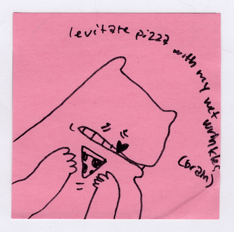 wet wrinkles original!