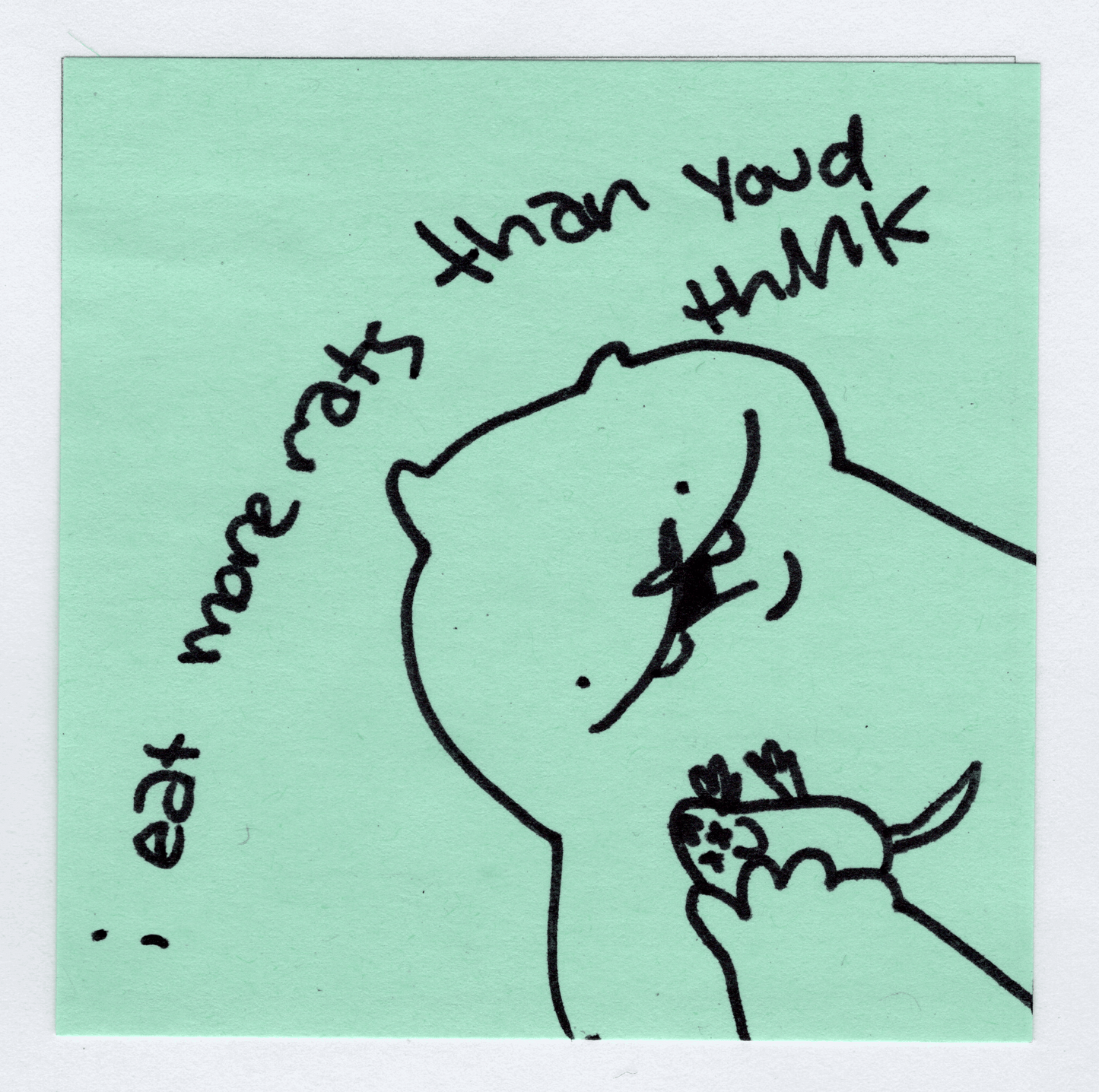 more rats original! - Whatstheirface - ["nonsense","pet"] - 