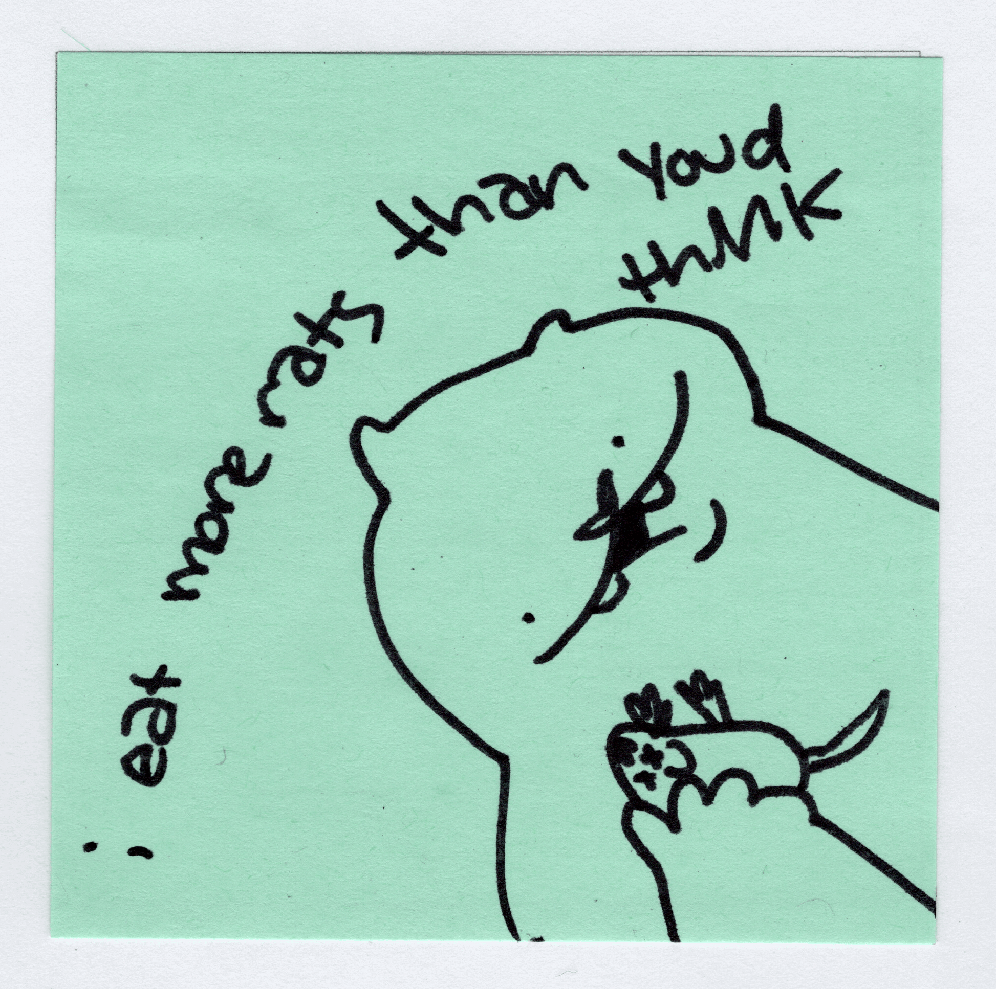 more rats original! - Whatstheirface - ["nonsense","pet"] - 