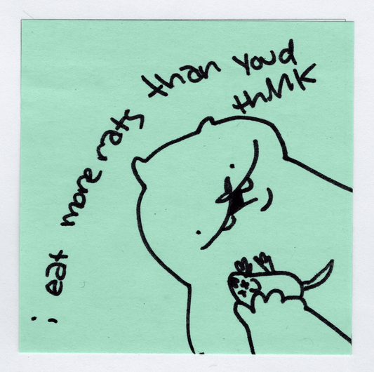 more rats original! - Whatstheirface - ["nonsense","pet"] - 