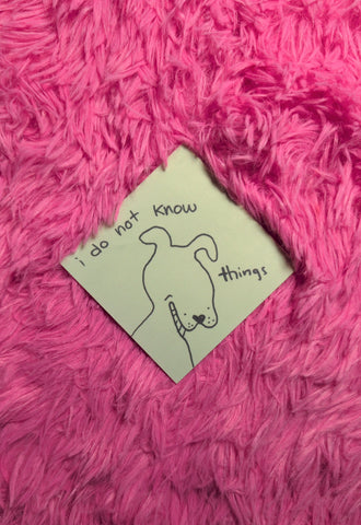 I do not know things sticker!