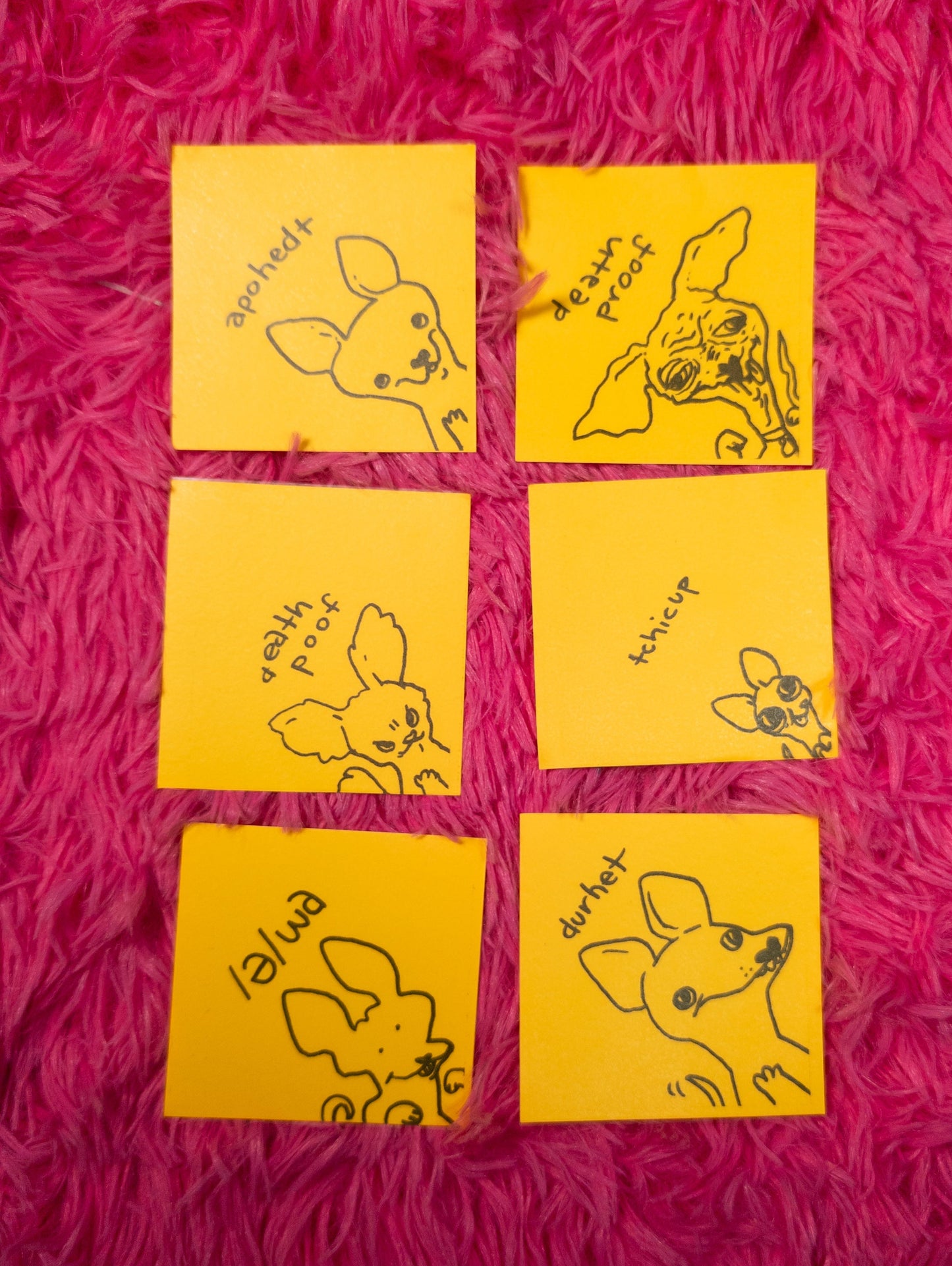 Shwawa sticker pack!