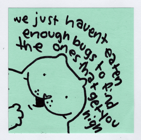 Enough bugs sticker!