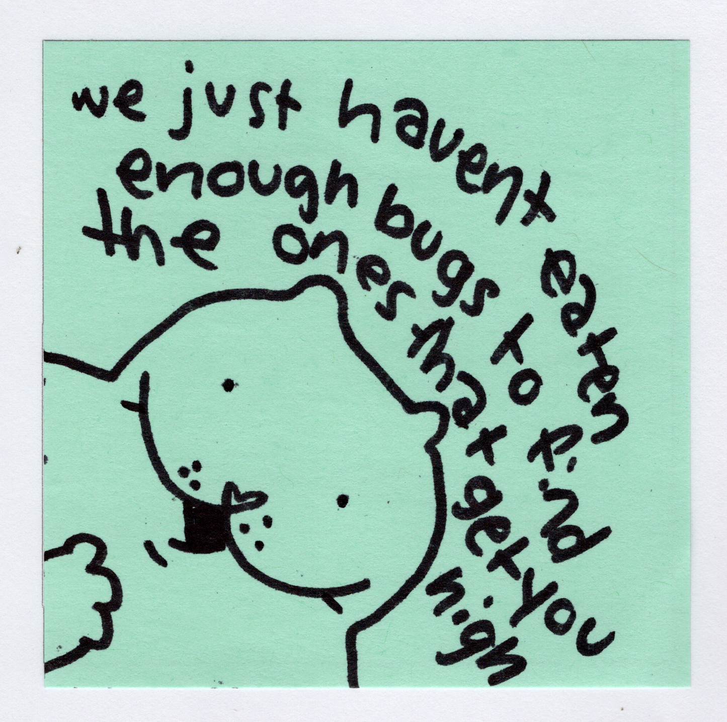 It bears repeating sticker collection! *Preorder*